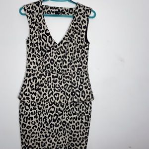 Leopard Print Dress